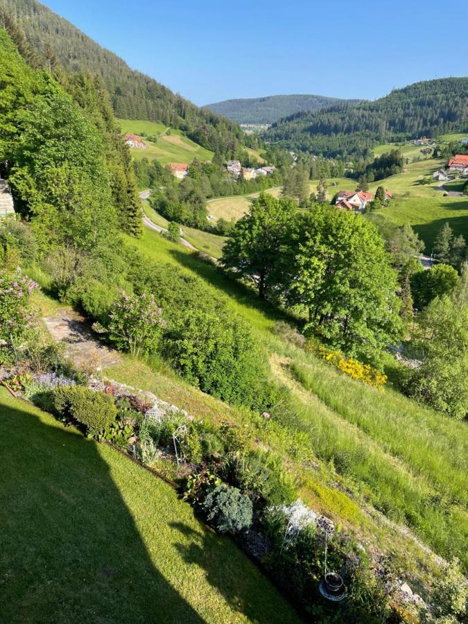 Apartamento Altes Berghaus Obertal  Exterior foto